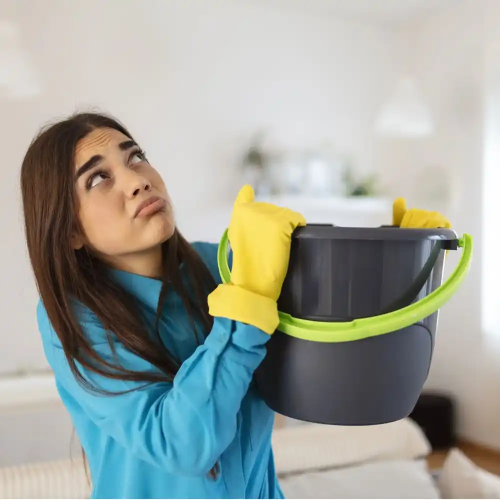 water damage restoration service Mount Orab